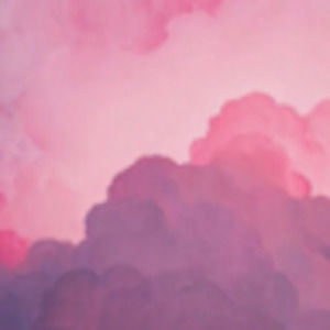 Meet your Posher, Briana